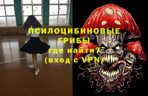 дживик Нея